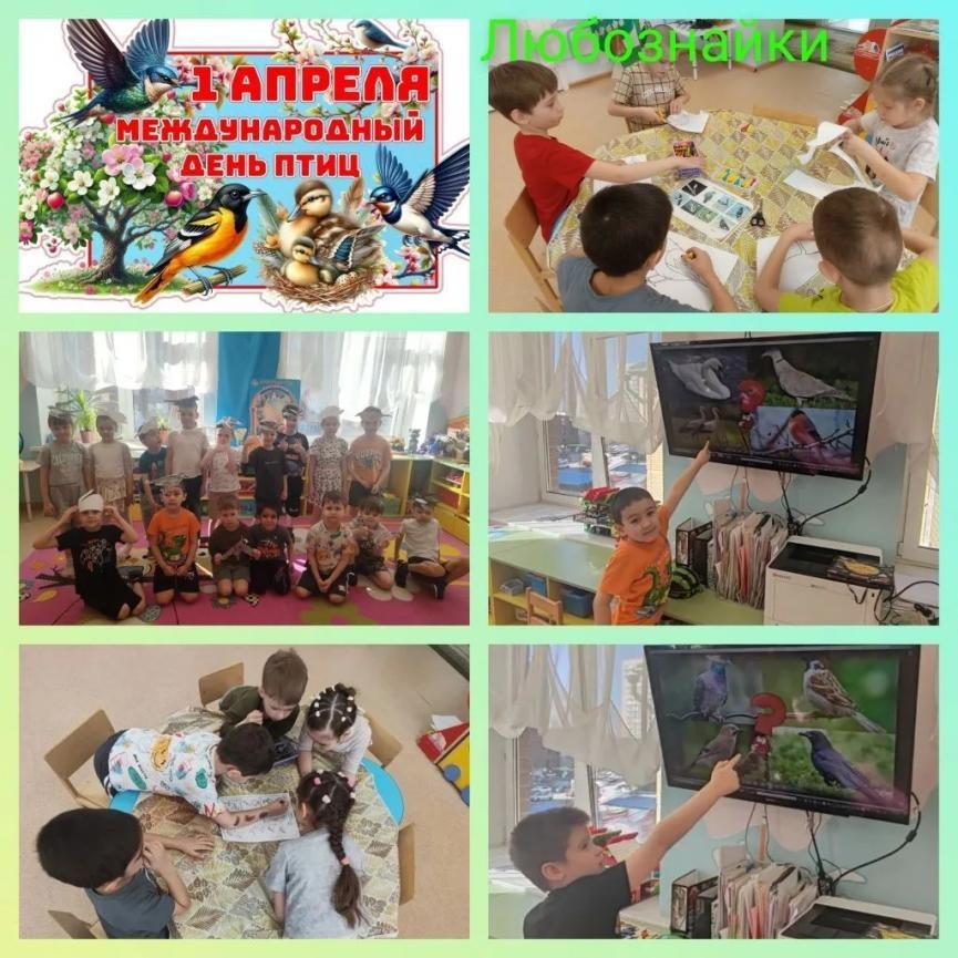 «День птиц».