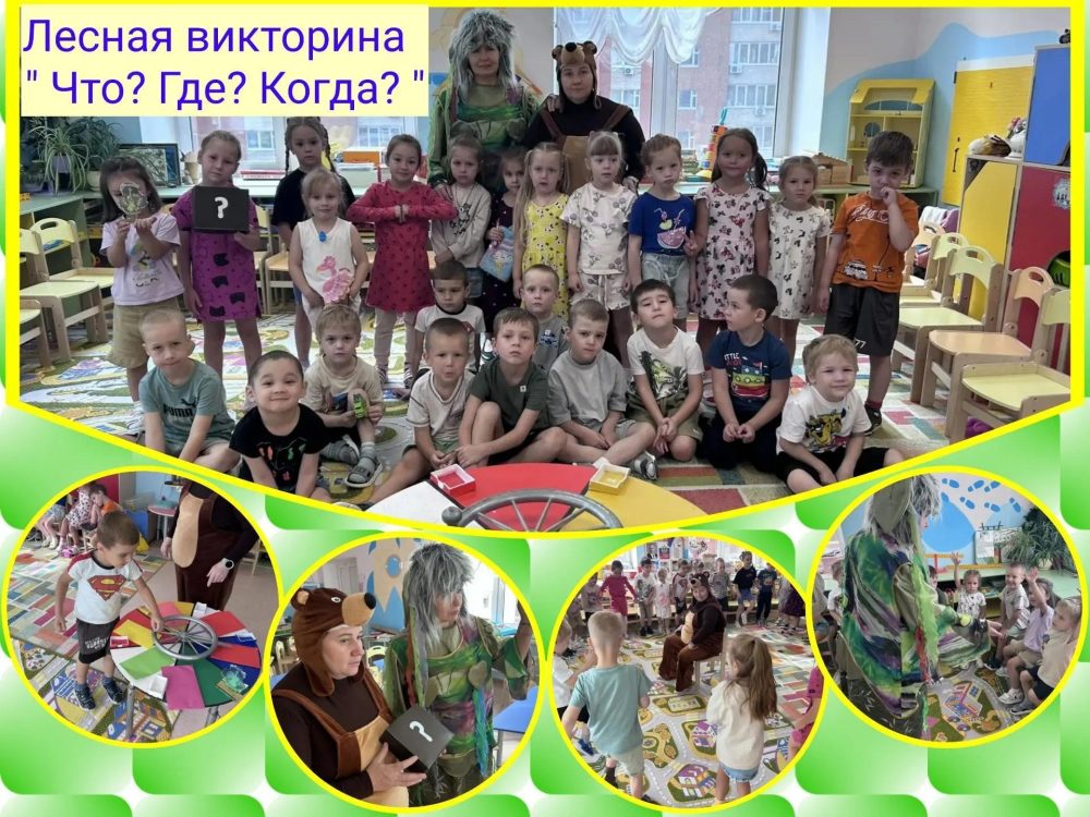 Лесная викторина «Что? Где? Когда?» в группе «Смешарики».